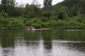 Байдарочный поход по реке Чусовой