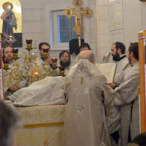 Божественная литургия в Храме блаженной Ксении Петербургской в деревне Дунино Одинцовского района.